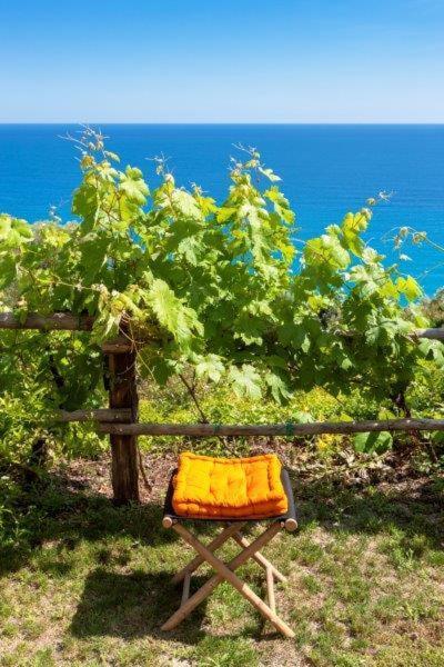 Agriturismo La Selva Hotel Finale Ligure Esterno foto
