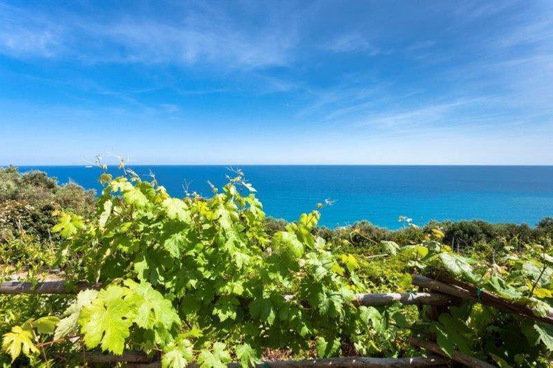 Agriturismo La Selva Hotel Finale Ligure Esterno foto