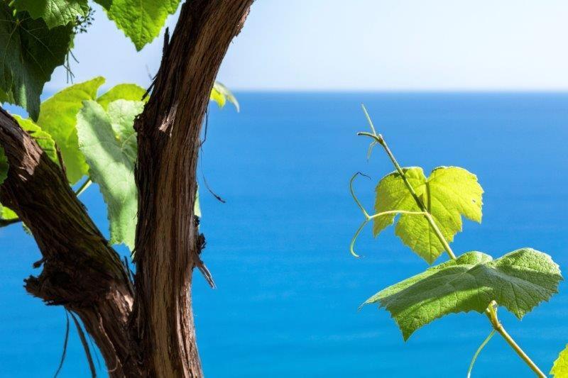 Agriturismo La Selva Hotel Finale Ligure Esterno foto