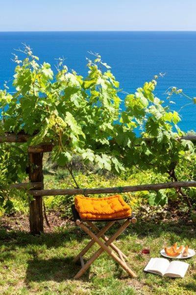 Agriturismo La Selva Hotel Finale Ligure Esterno foto