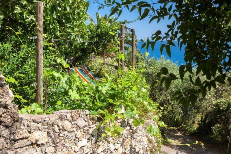 Agriturismo La Selva Hotel Finale Ligure Esterno foto