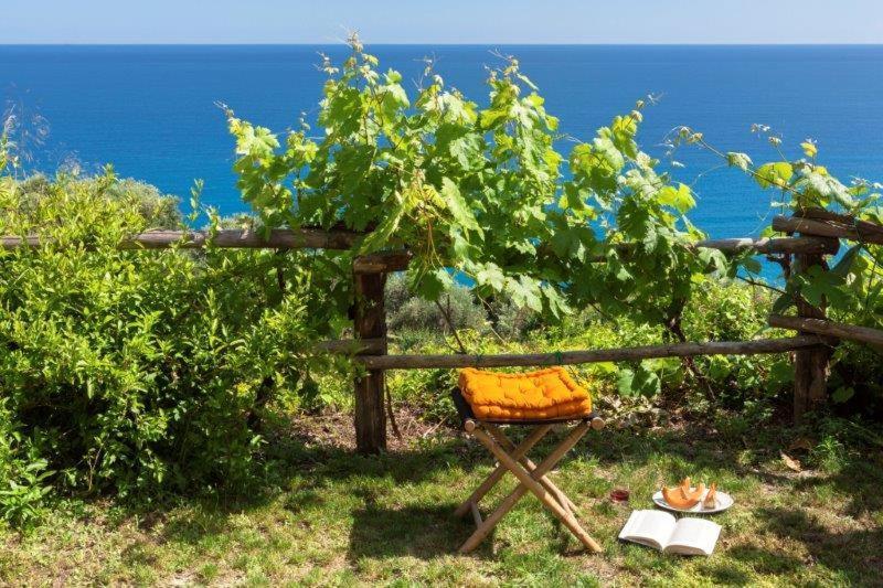 Agriturismo La Selva Hotel Finale Ligure Esterno foto