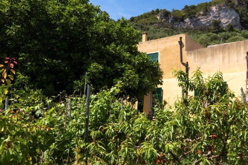 Agriturismo La Selva Hotel Finale Ligure Esterno foto