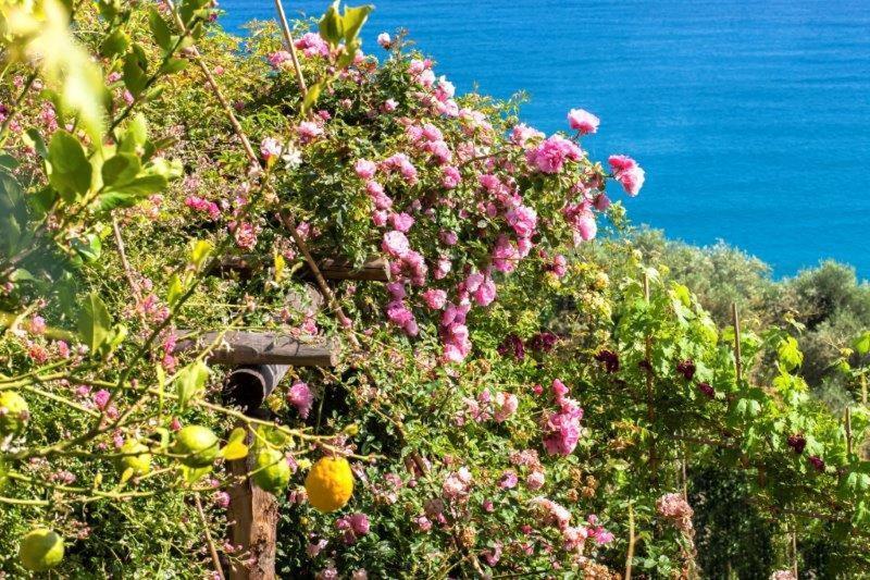 Agriturismo La Selva Hotel Finale Ligure Esterno foto