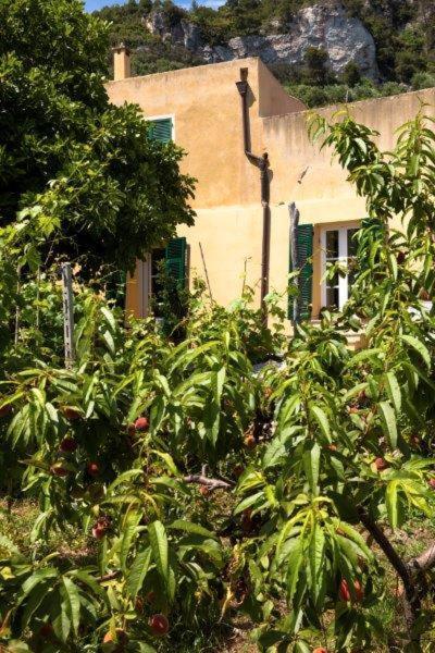 Agriturismo La Selva Hotel Finale Ligure Esterno foto