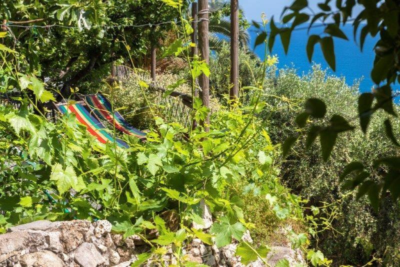 Agriturismo La Selva Hotel Finale Ligure Esterno foto