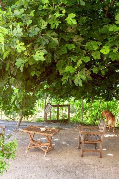 Agriturismo La Selva Hotel Finale Ligure Esterno foto